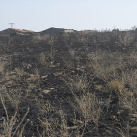 28/08/2024 Una de las zonas afectadas por incendios forestales en Ávila. Foto de archivo.