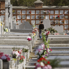 Decenas de tumbas del cementerio de La Almudena, en Madrid, lucen hoy adornadas con flores de cara a la celebración del Día de Difuntos que tiene lugar mañana, día 1 de noviembre. EFE/Víctor Lerena