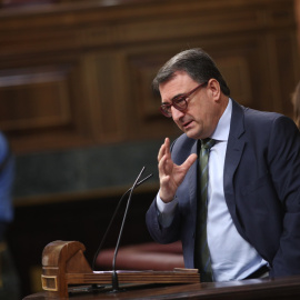 Aitor Esteban, portavoz del PNV en el Congreso de los Diputados, durante una intervención en la Cámara baja en una fotografía de archivo | EP