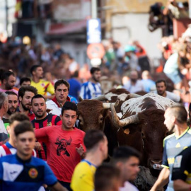 28/08/2018.- Astados de la ganadería Passanha durante el primero de los seis encierros de San Sebastián de los Reyes que se ha saldado con dos heridos leves, uno por caído y otro por un puntazo por asta de toro, tras una carrera que ha durado 1 minuto 