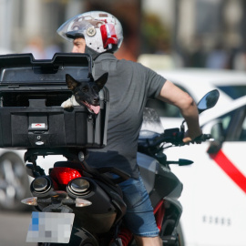 Un motorista su mascota circula por el centro de Madrid el día en que España ha comenzado a sufrir un "importante" episodio cálido con temperaturas de pleno verano, a 17 de mayo de 2022, en Madrid