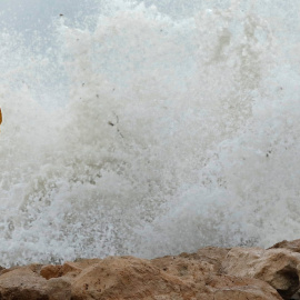 20.1.2020 - Un hombre observa las olas romper este lunes en el puerto deportivo de Denia tras el paso de la borrasca Gloria. EFE/ Juan Carlos Cárdenas