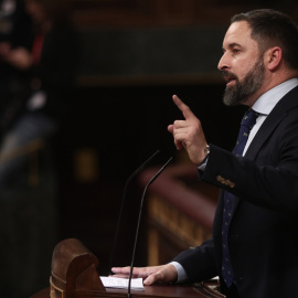 El líder de Vox, Santiago Abascal, en el Congreso de los Diputados. / Europa Press