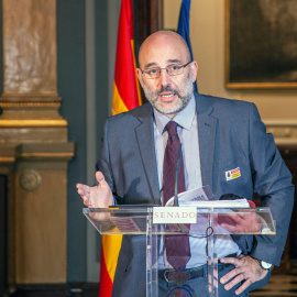 David Moya, director del Observatorio de Derecho Público IDP, en una imagen de archivo en el Senado. Claudio Rojas