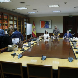 Reunión de la Mesa y Portavoces de la Comisión de Seguimiento y Evaluación de los Acuerdos Pacto de Toledo,  en el Congreso. (CHEMA MOYA | EFE)