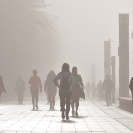 Vecinos de Almería pasean y hacen deporte por la playa y el paseo marítimo de Almería este viernes, aprovechando el aumento de las temperaturas a pesar de la espesa niebla que ha cubierto la ciudad.