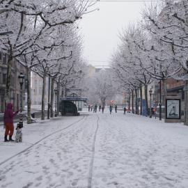 La ciutat de Lleida, emblanquinada per la neu del temporal Filomena.