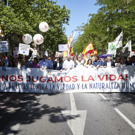 Manifestación contra la reforma de la ley del aborto convocada por organizaciones provida, este domingo en Madrid.