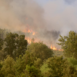 Llamas del incendio de Monsagro que los vientos cambiantes y el fuerte calor mantienen activo y dificultan su estabilización, este viernes en Salamanca. Dos nuevos focos han obligado esta mañana a desalojar a los en torno 400 vecinos de los municipios d