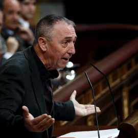 07/01/2020.- El diputado de Compromís, Joan Baldoví, durante su intervención en el Congreso. EFE/Mariscal