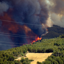 El foc al Pont de Vilomara i Rocafort.