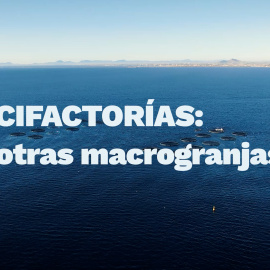 La tortura dentro de las piscifactorías españolas sale a la luz por primera vez