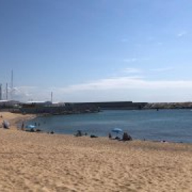 La platja per a gossos de Badalona segueix sense ubicació definida