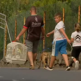 El incendio de Tenerife se adentra en el valle de La Orotava y obliga a desalojar a cientos de personas