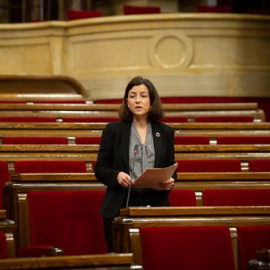 La vicesecretaria primera del PSC, Eva Granados, interviene durante la Diputación Permanente del Parlament, en Barcelona, Catalunya, a 24 de febrero de 2021.