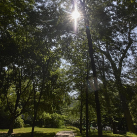 Vista del parque Quinta de los Molinos, que junto a El Retiro, y otros siete parques ha sido cerrado por el Ayuntamiento de Madrid en mitad de una ola de calor.