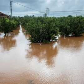 Las lluvias caídas sobre el norte de la provincia de Castellón, que han llegado a los 250 litros en la comarca del Baix Maestrat han provocado que los campos queden completamente anegados. EFE/ Domenech Castelló