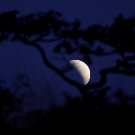 La luna durante un eclipse lunar parcial en Brasilia, Brasil, el 16 de julio de 2019. REUTERS / Ueslei Marcelino