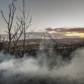 La lluvia caída durante esta madrugada en el entorno del incendio forestal de Bejís, en la comarca castellonense del Alto Palancia, ha reducido la llama hasta casi desaparecer en todo el perímetro.