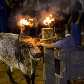 La quinta muerte en festejos taurinos en la Comunidad Valenciana, en Almedíjar (Castellón)