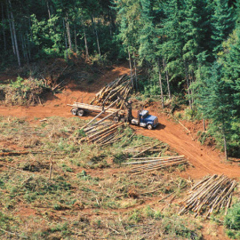 Deforestación en la Amazonía de Brasil. EFE/Archivo