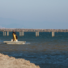 27/01/2022 - Àrea de cria de musclos al Delta de l'Ebre.