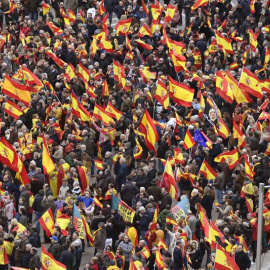 Concentración convocada por PP, Ciudadanos y VOX este domingo en la plaza de Colón. Víctor Lerena (EFE)