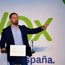 El presidente de Vox, Santiago Abascal. (ALMUDENA ÁLVAREZ | EFE)