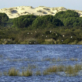 Vista del Parque Nacional de Doñana. EFE