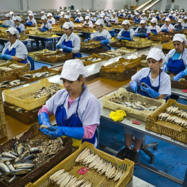 Foto de archivo de empleadas en una fábrica de conservas. / EFE