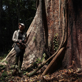 05/09/2022-La defensora ambiental y fundadora de Arbio, Tatiana Espinosa, es vista junto a un shihuahuaco de aproximadamente 1000 años, el 5 de septiembre de 2022 en Madre de Dios (Perú). En plena amazonía peruana yace la inmensa copa verde y las gigan