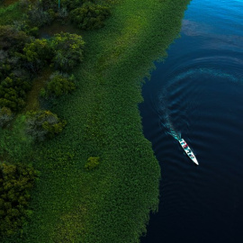 Vista aérea del Amazonas en Brasil. MAURO PIMENTEL / AFP