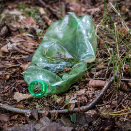 Plastic trash in the forest. Tucked nature. Plastic container lying in the grass. Season of autumn.