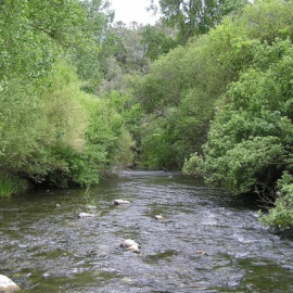 Un ejemplo de río bien conservado que mantiene sus riberas funcionales, en un tramo del Río Genal.