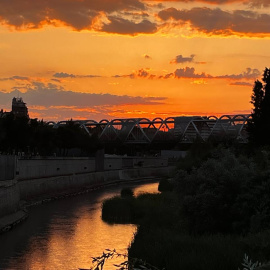 El río Manzanares.- Rosa M. Tristán