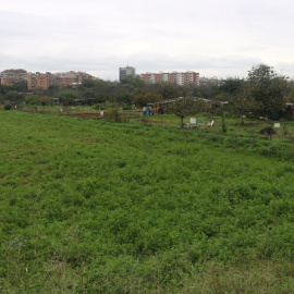 Camps i horts al Calderí a Mollet del Vallès