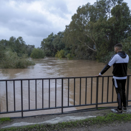 Un hombre observa el rio Guadiaro este jueves, por Jimena de la Frontera (Cádiz).