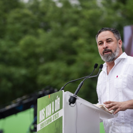 Abascal campaña Europeas