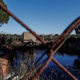 Balsa de riego ilegal construida cerca de algunos de los 77 pozos que la Confederación Hidrográfica del Guadalquivir (CHG) prevé cerrar. EFE/José Manuel Vidal