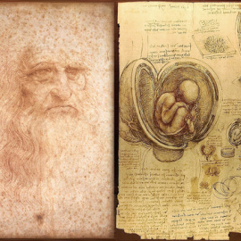 Autorretrato de Leonardo da Vinci dibujado entre 1512 y 1515 (izquierda) y dibujos sobre el embrión humano, realizados entre 1510 y 1513 (derecha).