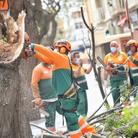 Trabajadores de la empresa del servicio de parques y jardines de Cádiz.