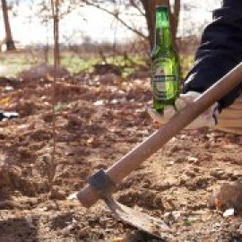 Madrid recupera un ecosistema natural clave gracias al Proyecto Jarama de Heineken