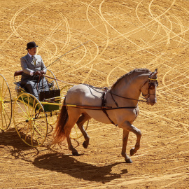 Primera jornada de la Feria de Abril de 2024, con el tradicional paseo de caballos y enganches, a 14 de abril de 2024.