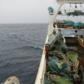 La supervivencia del mar enciende Bruselas