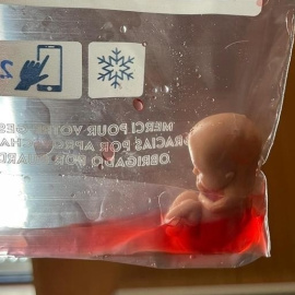 Imagen del muñeco de un feto en una bolsa de plástico enviado por Hazte Oír a todos los diputados del Congreso este lunes 27 de febrero de 2023.