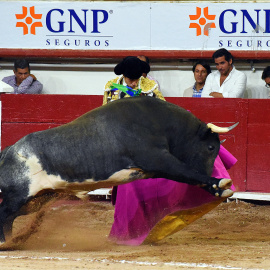 Premio tauromaquia