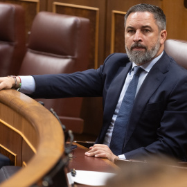 El líder de Vox, Santiago Abascal, durante una sesión plenaria, en el Congreso de los Diputados.