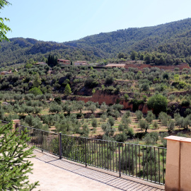 Imatge de les oliveres situades als peus del Montsant, a Cabacés (Priorat)