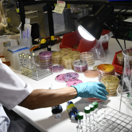 Una investigadora trabaja en el Laboratorio Regional de Salud Pública de la Comunidad de Madrid.