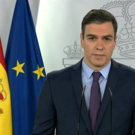 Captura de la señal institucional del Palacio de la Moncloa de la rueda de prensa del presidente del Gobierno, Pedro Sánchez, ofrecida este domingo, 29ª jornada del estado de alarma, en el Palacio de la Moncloa, en Madrid, para informar de 